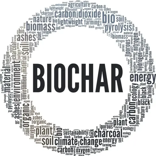 BioChar